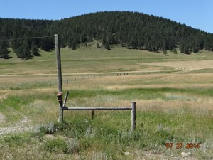 bluebird box 2