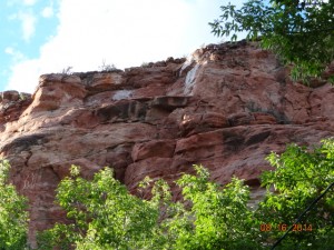 cliffsbest