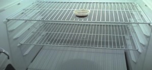 Empty fridge