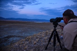 Using his spotting scope