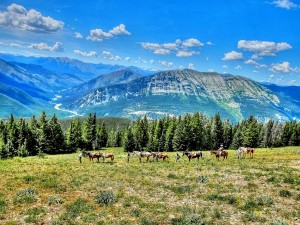 Mills Wilderness Adventures - Augusta Montana