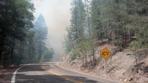 Hwy 152 near Upper Gallinas Campground