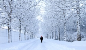 Snow/Snjór in Reykjavik