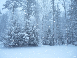 Snowing!