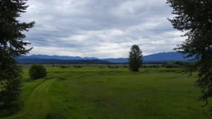 20160618_101011